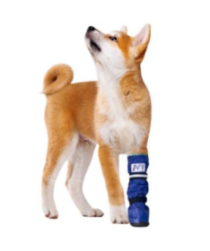 BOTA PROTECTORA XL 1UD