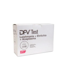 DFV TEST L+E+A 20 TEST