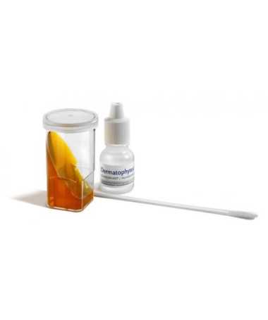 DERMATOPHYTEST 6 TESTS