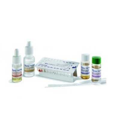 SPEED BIOGRAM 5 TESTS