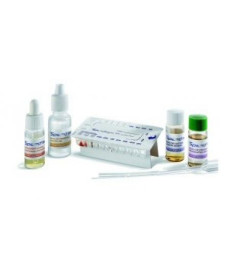 SPEED BIOGRAM 5 TESTS