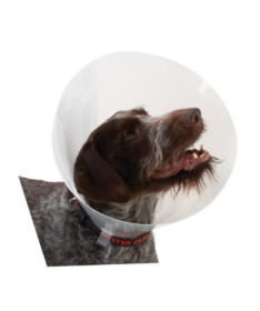 COLLAR ISABELINO BUSTER TRANSPARENTE 7