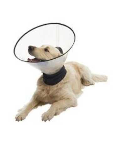 COLLAR PREMIUM STARTER KIT (1S