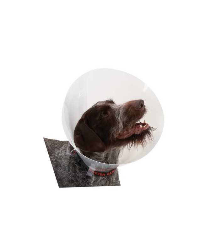 COLLAR ISABELINO BUSTER TRANSPARENTE 20 10UD