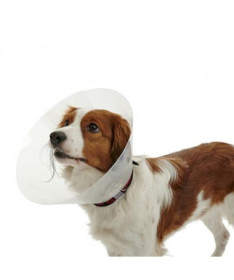 COLLAR ISABELINO BUSTER TRANSPARENTE 35 1UD