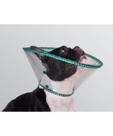COLLAR ISABELINO ECOPROTEC BULLDOG 20 VERDE 1UD