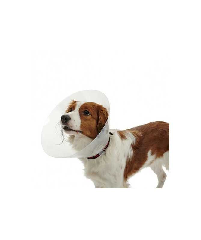 COLLAR ISABELINO BUSTER TRANSPARENTE 40 1UD