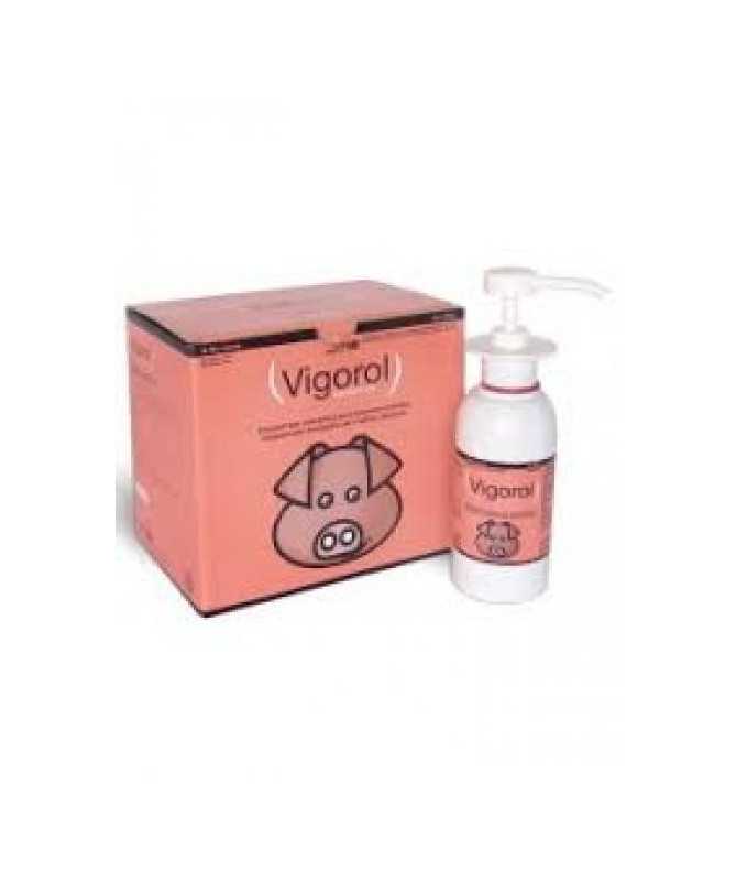 VIGOROL PLUS 6 BOTES DE 250ML