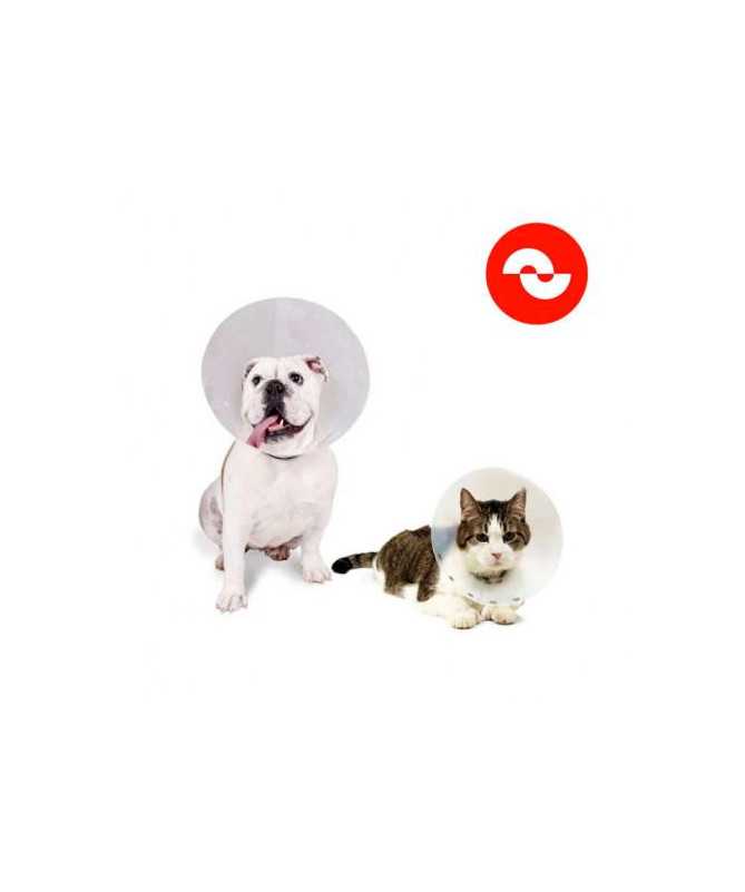 COLLAR ISABELINO 25CM NUZOA