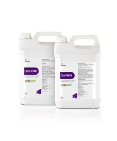 CALPHOS/CALCIDIOL 2X5 L