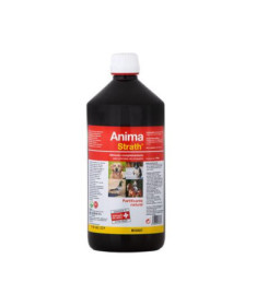 ANIMA STRATH 1 L