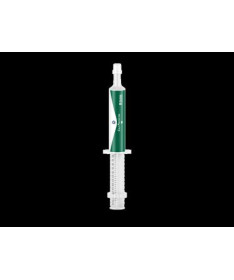 CALF PROTECTOR PASTA ORAL 60 ML