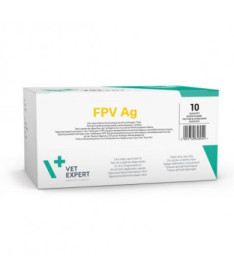 RAPID SINGLE FPV AG 10 TEST