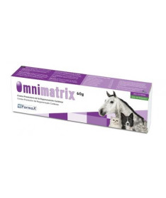 OMNIMATRIX 60 G POMADA CICATRIZANTE