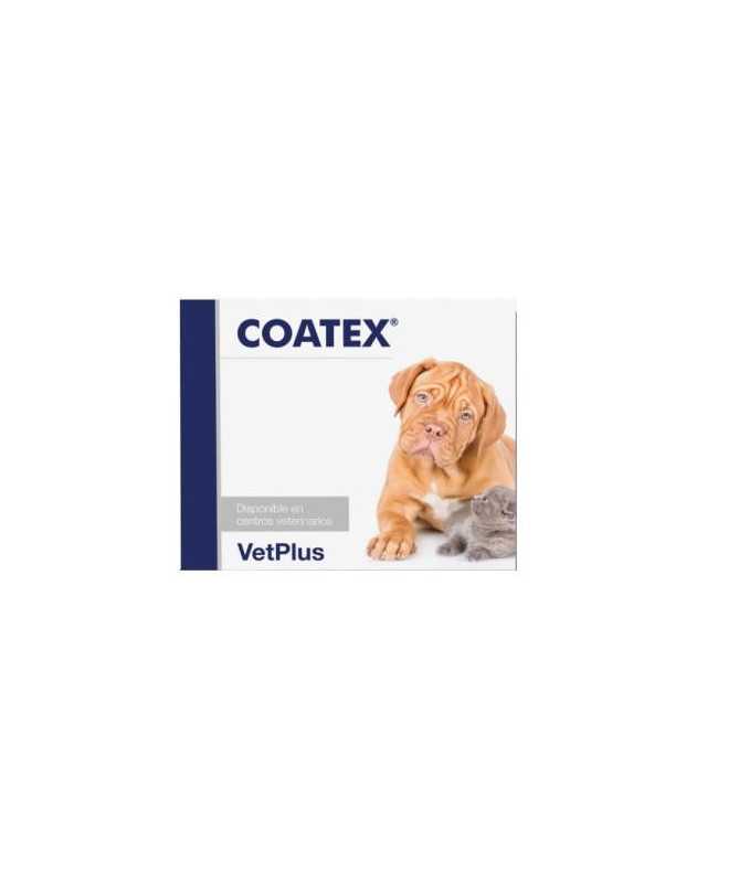 COATEX 240 CAPSULAS