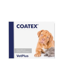 COATEX 240 CAPSULAS