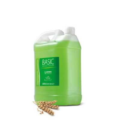 ARTERO CHAMPU BASIC 5L