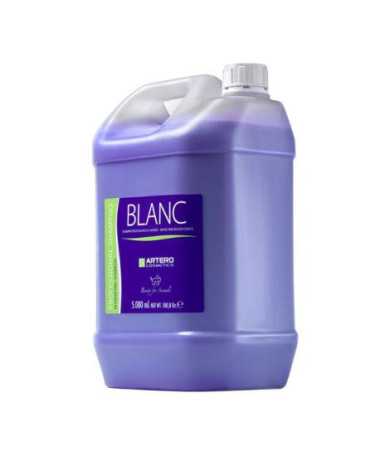 ARTERO CHAMPU BLANC 5L