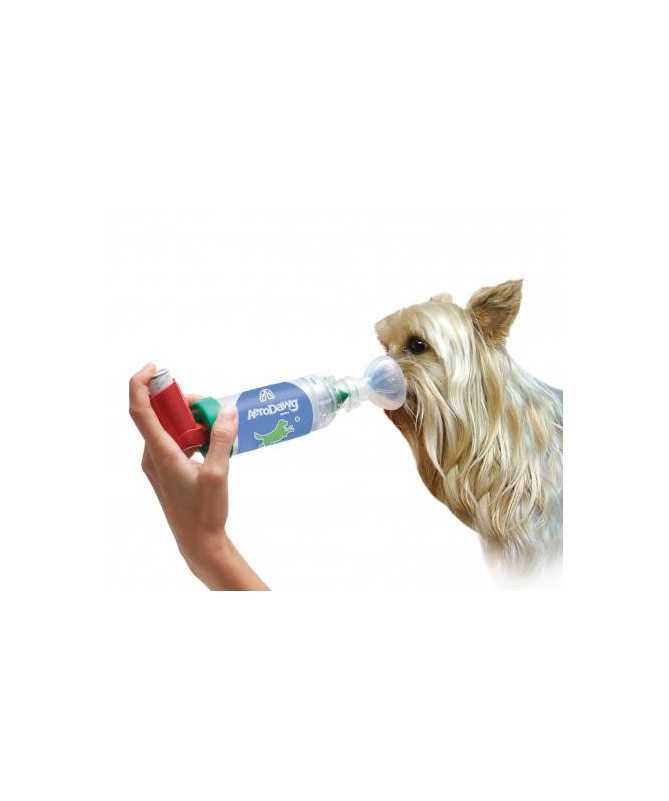 CAMARA INHALACION AEROSOLES AERODAWG GRANDE