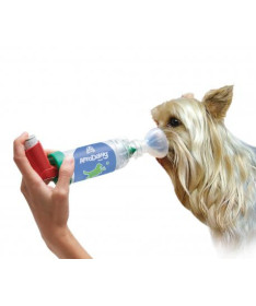 CAMARA INHALACION AEROSOLES AERODAWG GRANDE