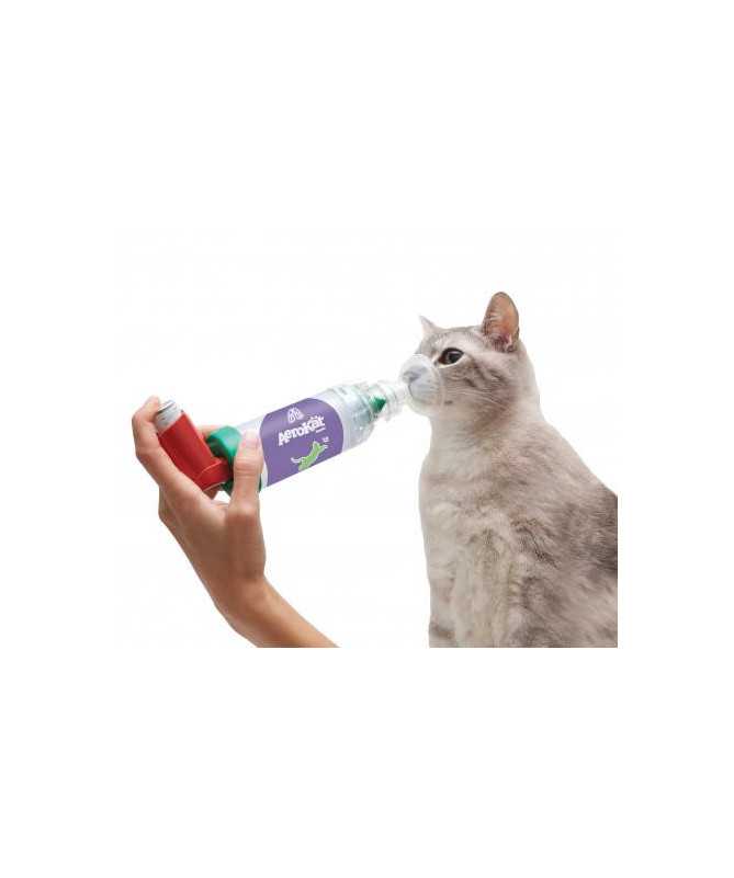 CAMARA INHALACION AEROSOLES AEROKAT