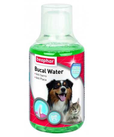 BUCAL WATER PERRO/GATO 250ML