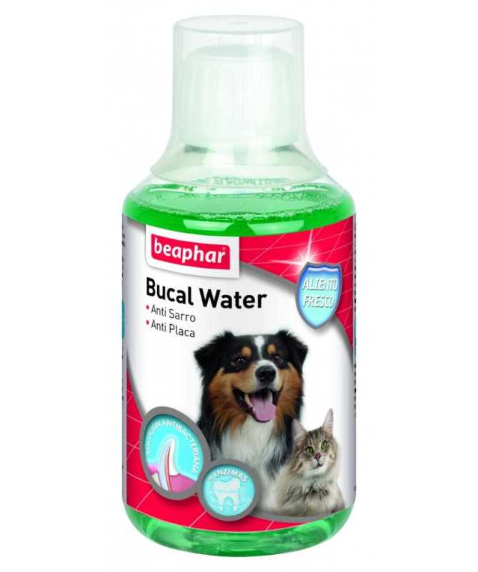BUCAL WATER PERRO/GATO 250ML