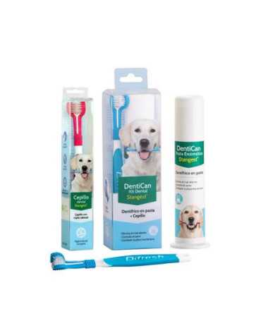 KIT DENTAL (CEPILLO + PASTA) DENTICAN