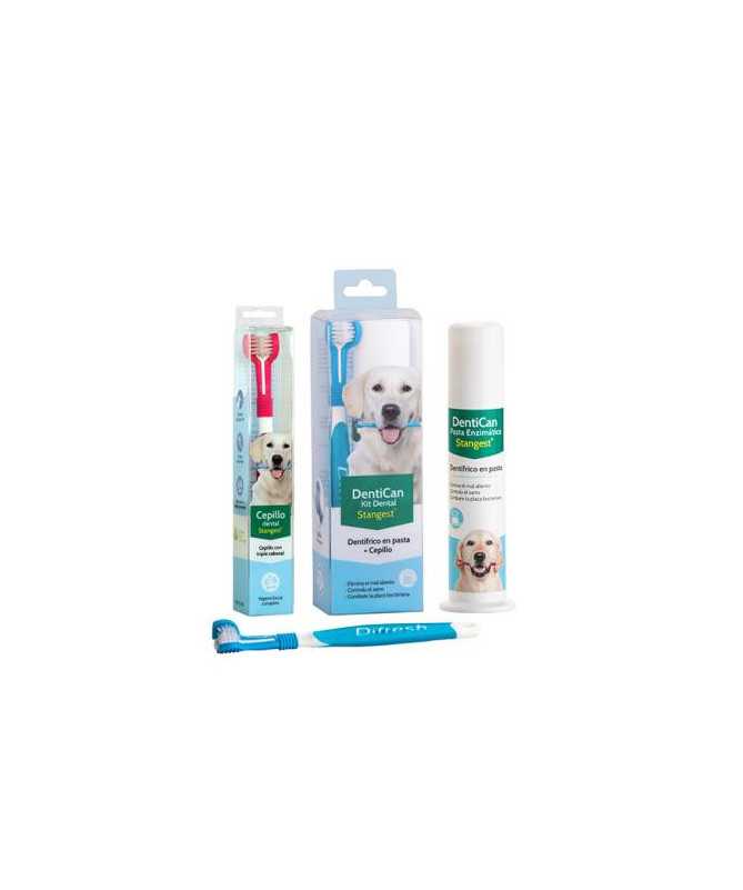 KIT DENTAL (CEPILLO + PASTA) DENTICAN