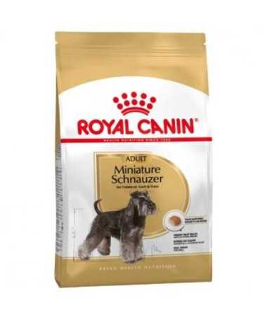 MINIATURE SCHNAUZER ADULT 7