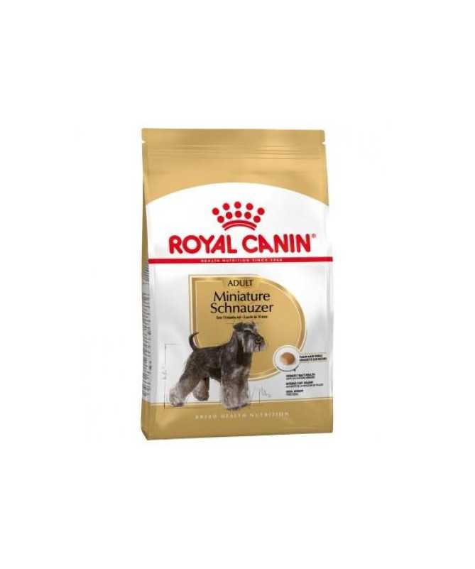 MINIATURE SCHNAUZER ADULT 7