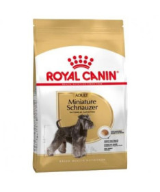 MINIATURE SCHNAUZER ADULT 7
