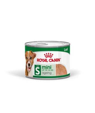 MINI AGEING PATE 12 X 195G