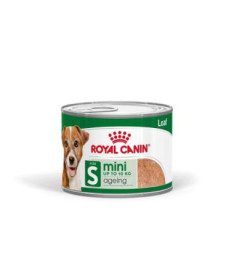 MINI AGEING PATE 12 X 195G