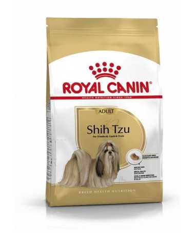 SHIH TZU ADULT 1