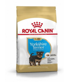 YORKSHIRE PUPPY 500G