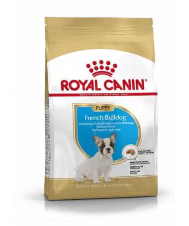 BULLDOG FRANCES PUPPY 3KG