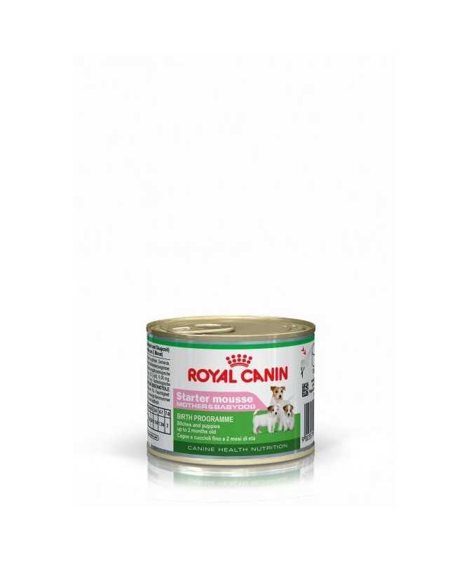 STARTER MOUSSE 12X195GR