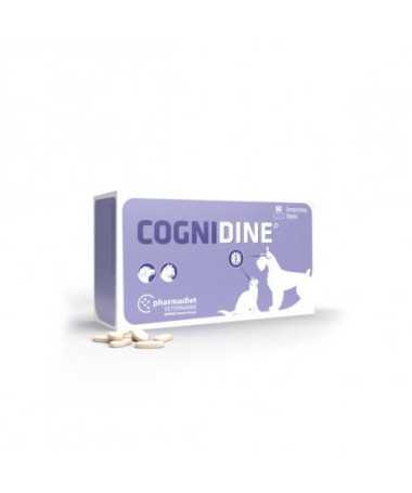 COGNIDINE 60 COMP