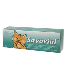 SAVORIAL 20 G