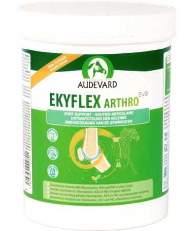 EKYFLEX ARTHRO EVO 450G