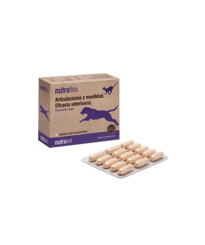 NUTRAFLEX PERRO GATO 60 CAPSULAS