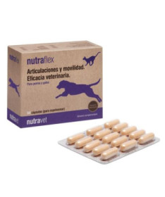 NUTRAFLEX PERRO GATO 60 CAPSULAS