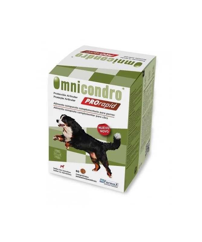 OMNICONDRO PRORAPID 60 COMP