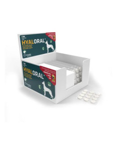 HYALORAL RAZAS GRANDES 360 COMP