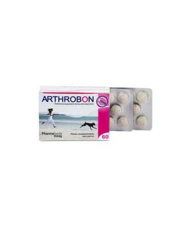 ARTHROBON 60 COMPRIMIDOS