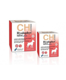 HYALOPHYT MSM GIANTS 30 COMP