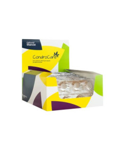 CONDROCARE 240 COMP BLISTER