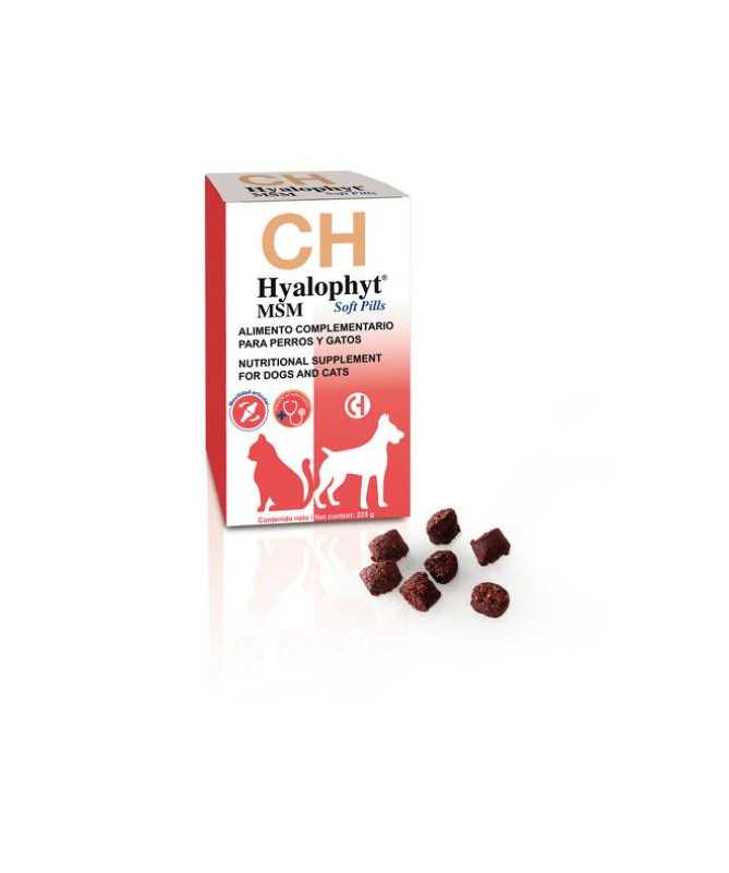 HYALOPHYT MSM SOFT PILLS 225G