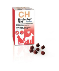 HYALOPHYT MSM SOFT PILLS 225G